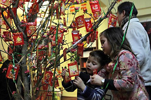 Hái lộc đầu xuân